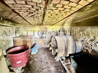 Cantina