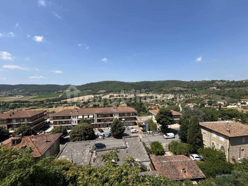 Vista