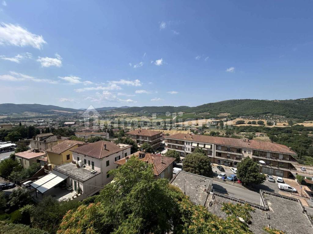 Vista