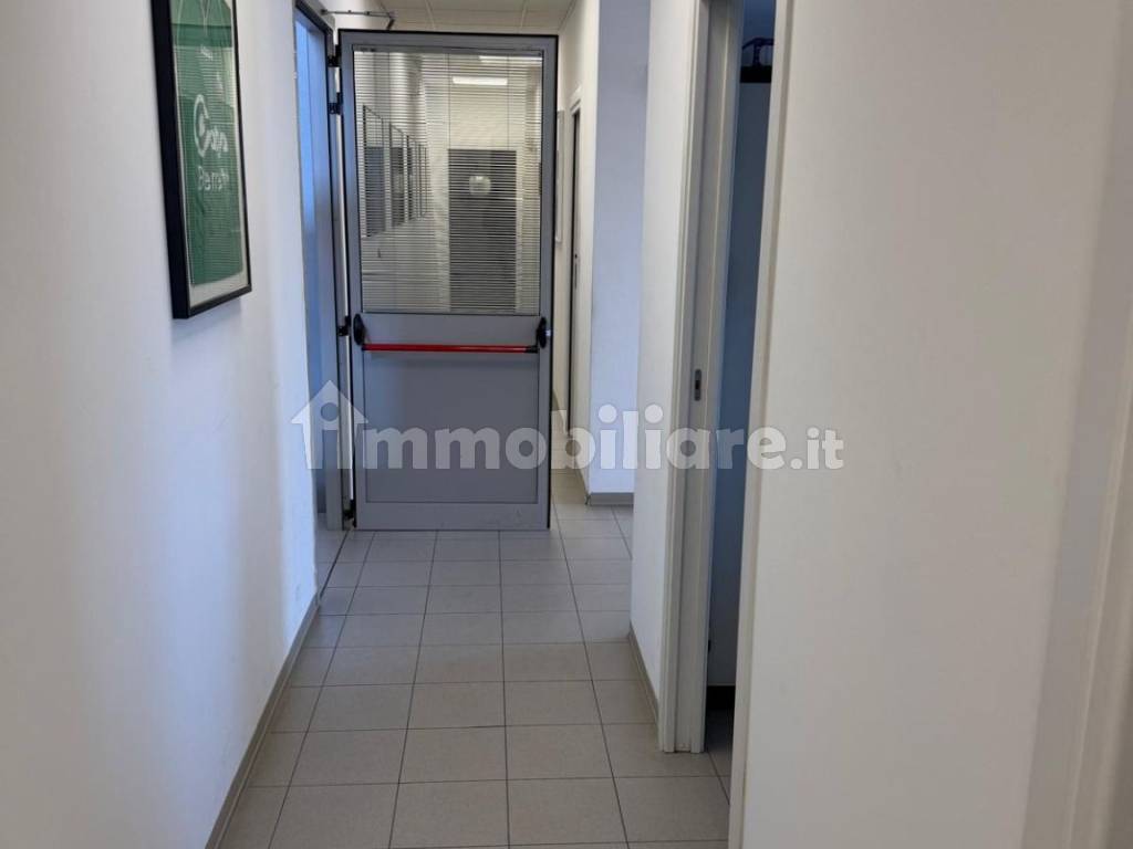 Disimpegno