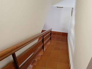 Scala