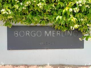 Zona