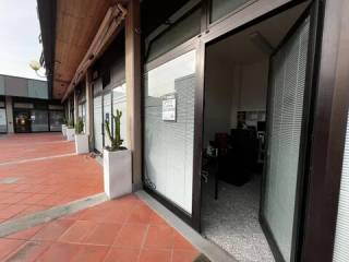 Ingresso