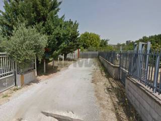 Zona