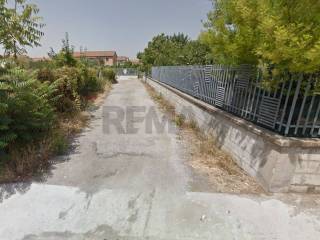 Zona
