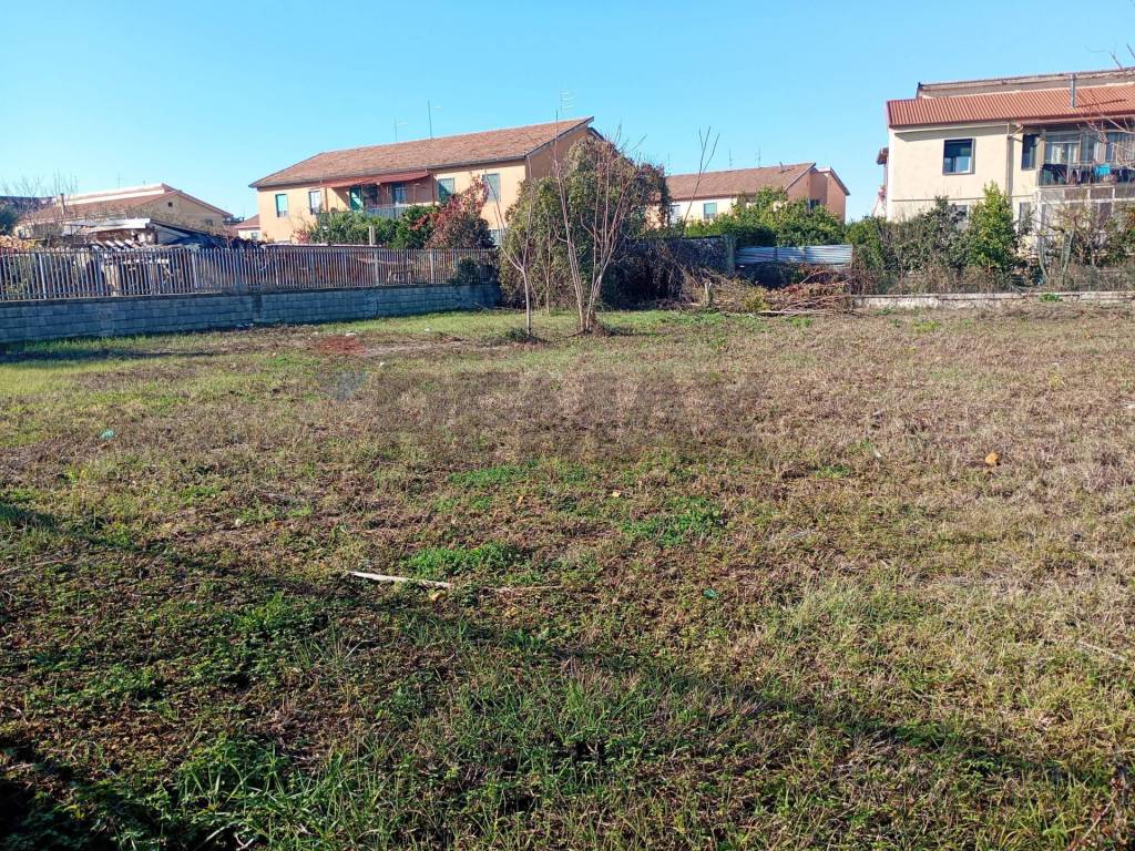 Terreno