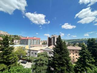Vista