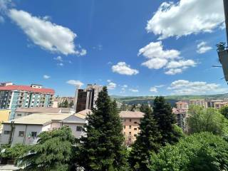 Vista