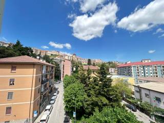 Vista