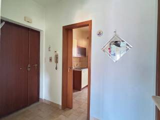 Ingresso