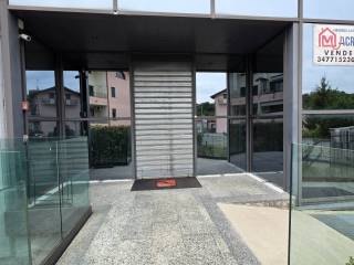 Ingresso