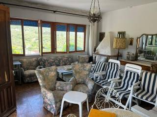 Salone