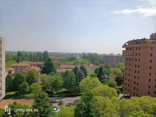 Vista