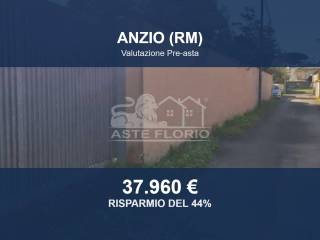 Zona