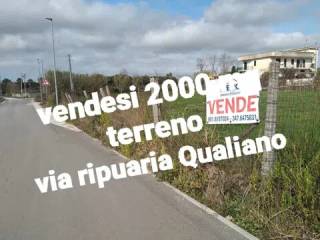 Zona