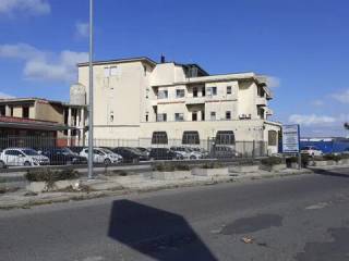 Zona