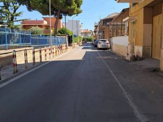 Zona