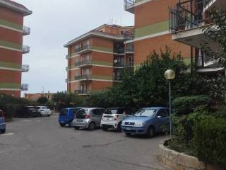 Zona
