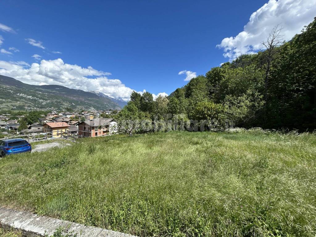 Terreno