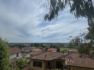 Vista