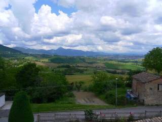 Vista