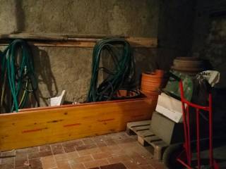Cantina