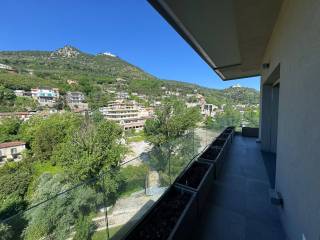 Vista