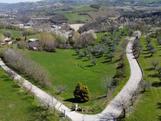 Zona