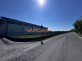 Zona