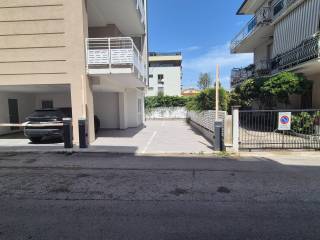 Zona