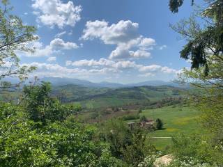 Vista