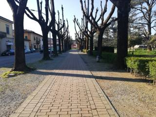 Zona