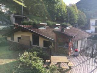 Vista