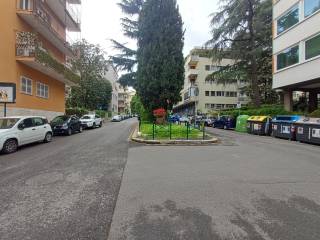 Zona