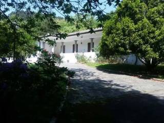 Zona