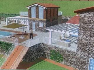 Zona