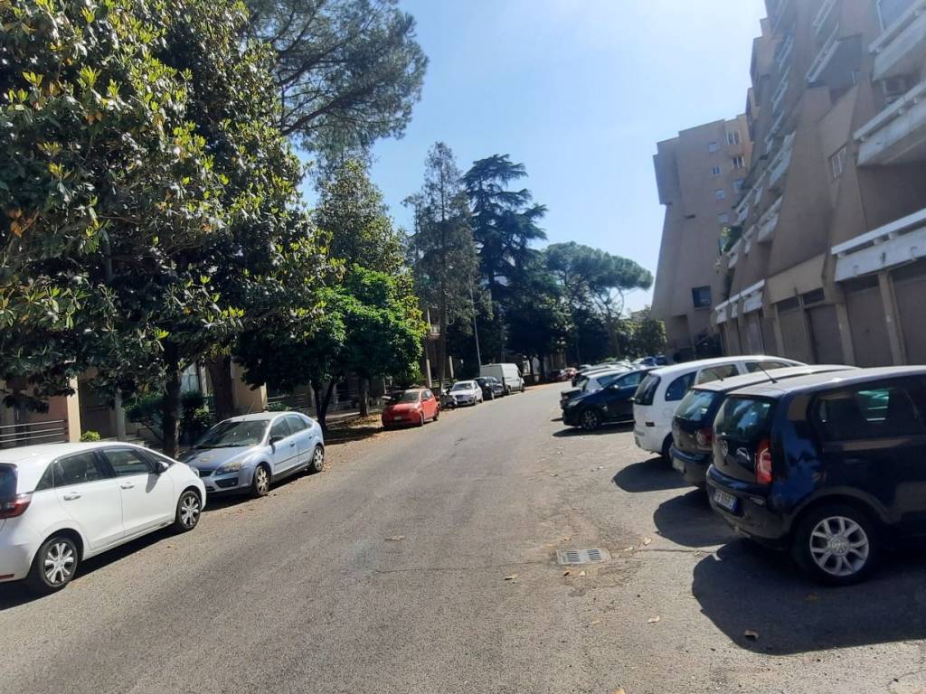 Zona