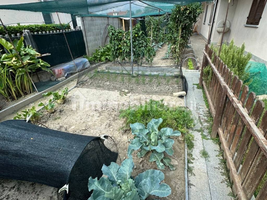 Giardino