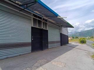 Zona