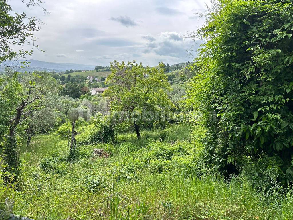 Terreno