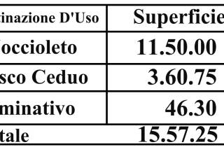 Altro