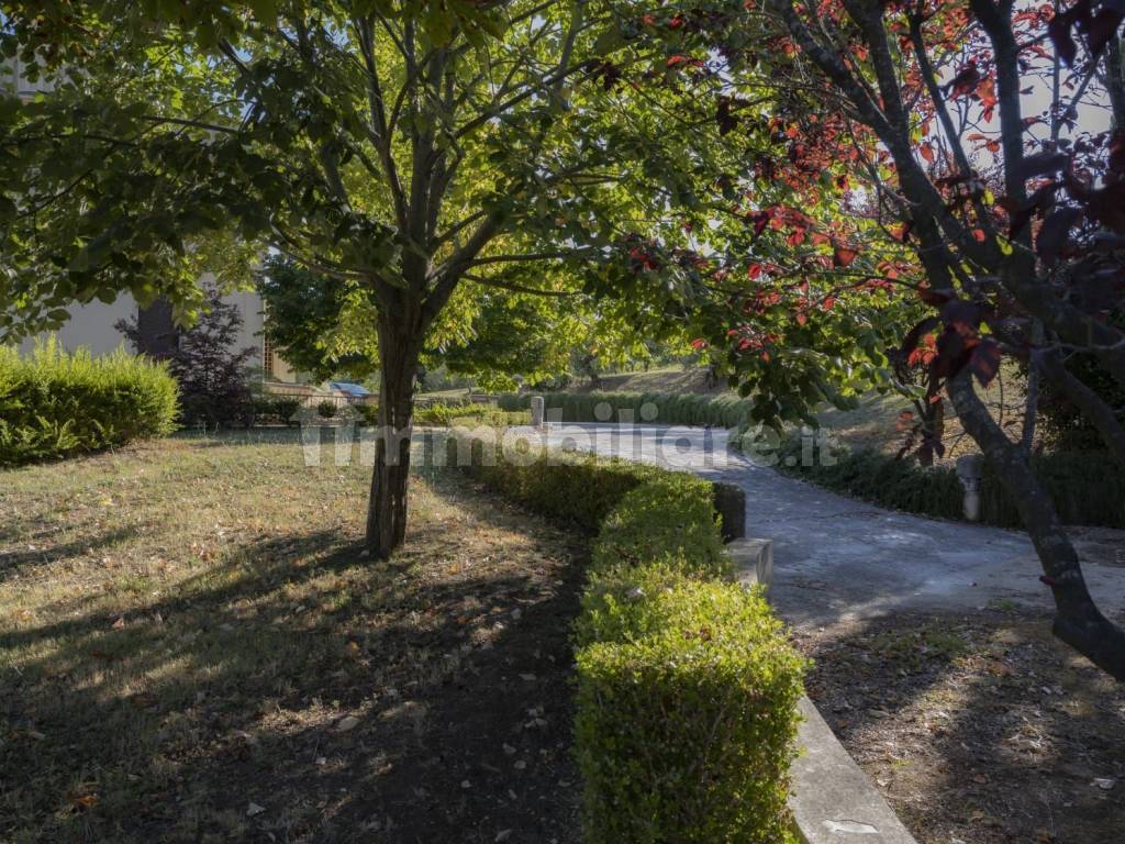 Giardino