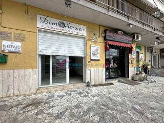 Zona