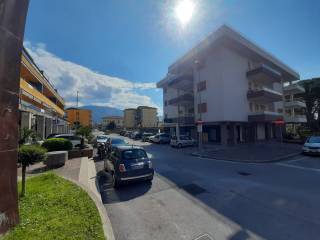 Zona