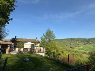 Vista