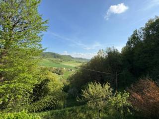 Vista
