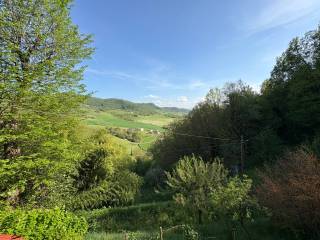 Vista