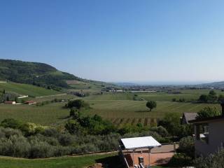 Vista
