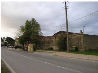 Zona