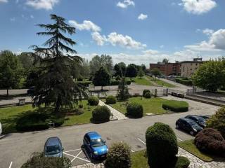 Vista